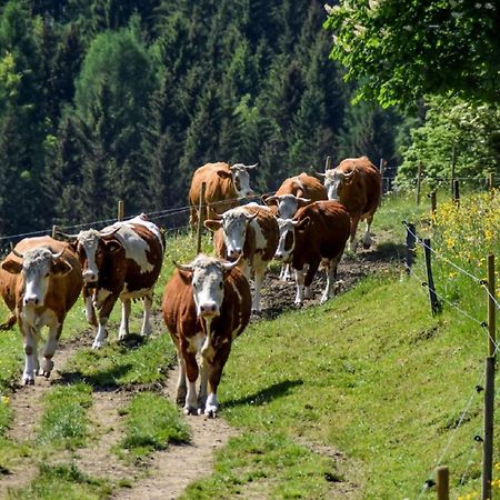 فيلا Urlaub Auf Dem Haberlhof لوبيرغ المظهر الخارجي الصورة