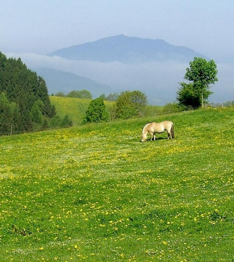 فيلا Urlaub Auf Dem Haberlhof لوبيرغ المظهر الخارجي الصورة