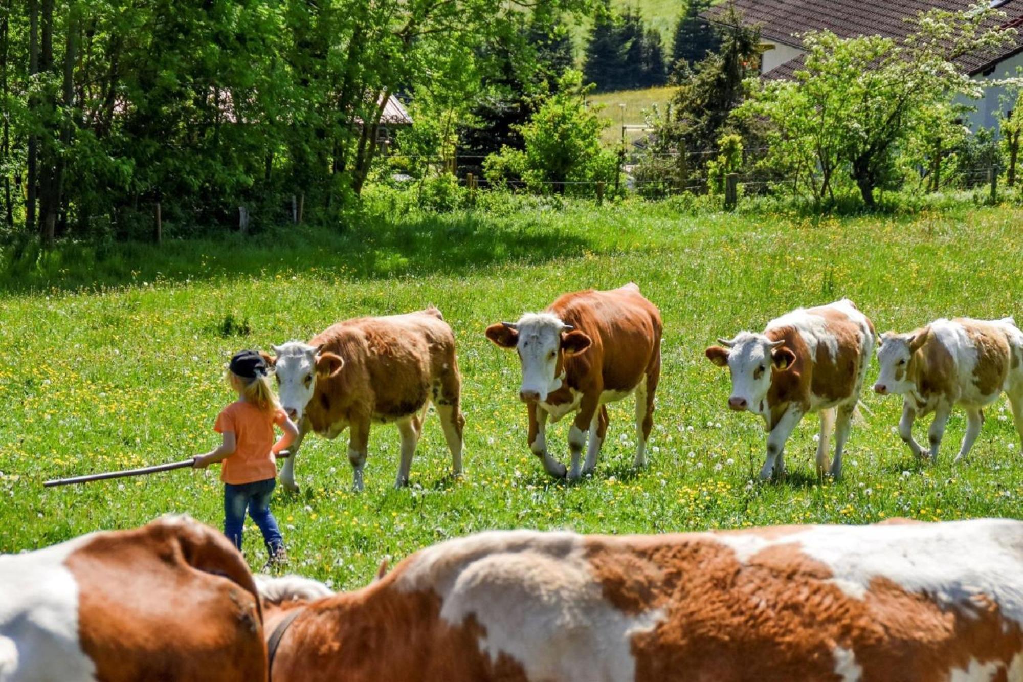 فيلا Urlaub Auf Dem Haberlhof لوبيرغ المظهر الخارجي الصورة
